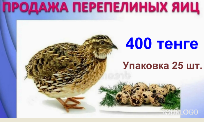 ���� ����������� �������� ��������