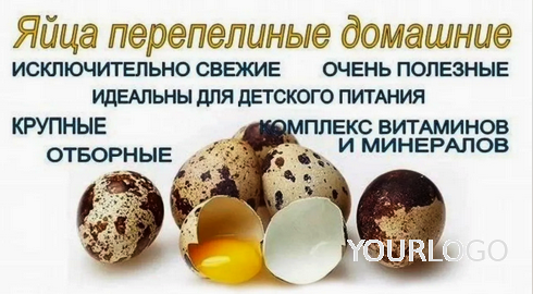 ���� ����������� �������� ��������