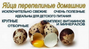 ���� ����������� �������� ��������